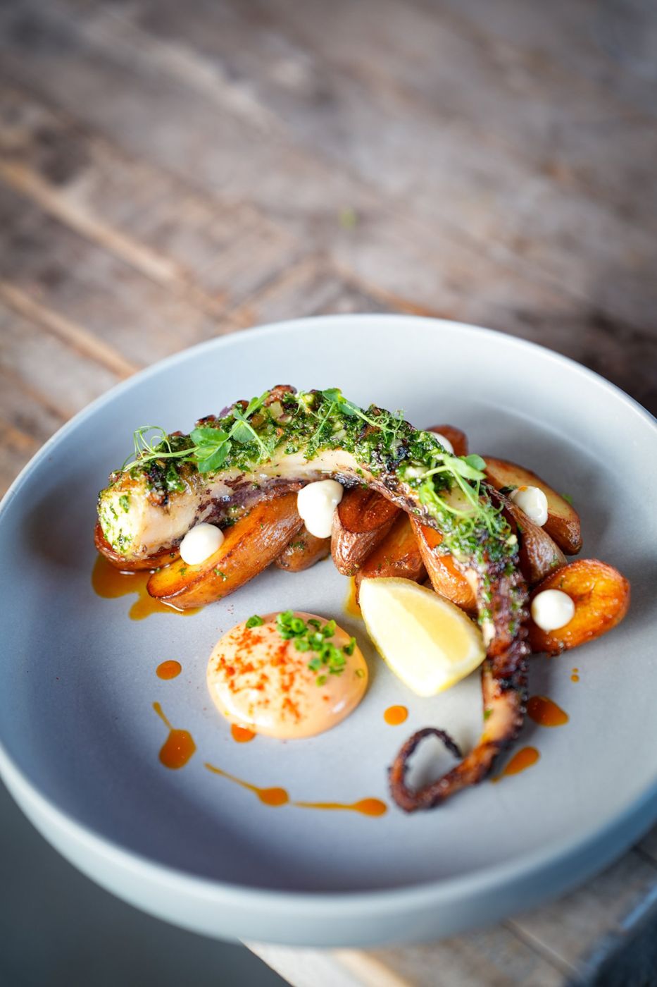 Grilled Octopus