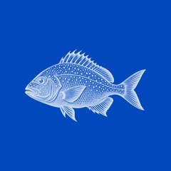 Branzino Box